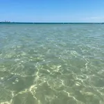 Aduepassi * مانفريدونيا